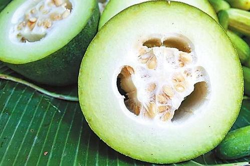 福建古茗吃瓜事件视频,一场网络争议的发酵与反思