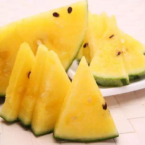 金翅瓜如何吃才好吃视频,视频教你如何烹饪出最佳口感