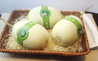 吃白玉瓜视频教程下载,轻松学会家常美味